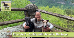 Read more about the article Greyhound Agility with Jennifer Bachelor