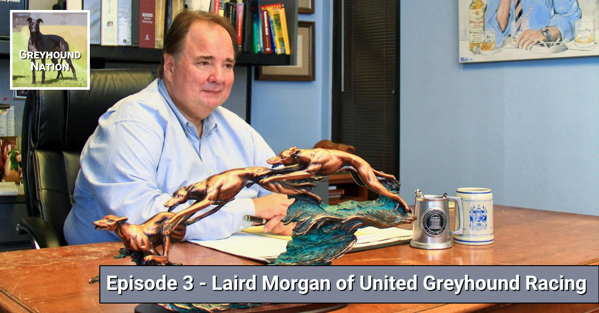 You are currently viewing Interview with Laird Morgan of United Greyhound Racing