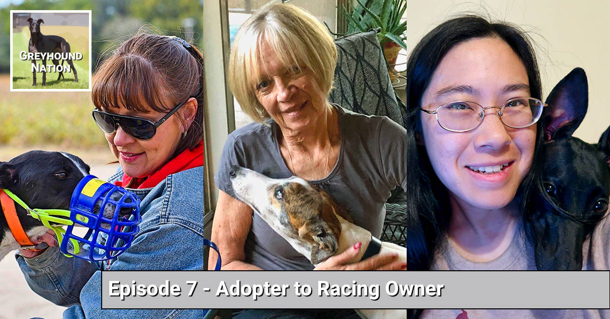 You are currently viewing Adopter to Racing Owner
