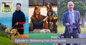 Read more about the article Rehoming Irish Greyhounds