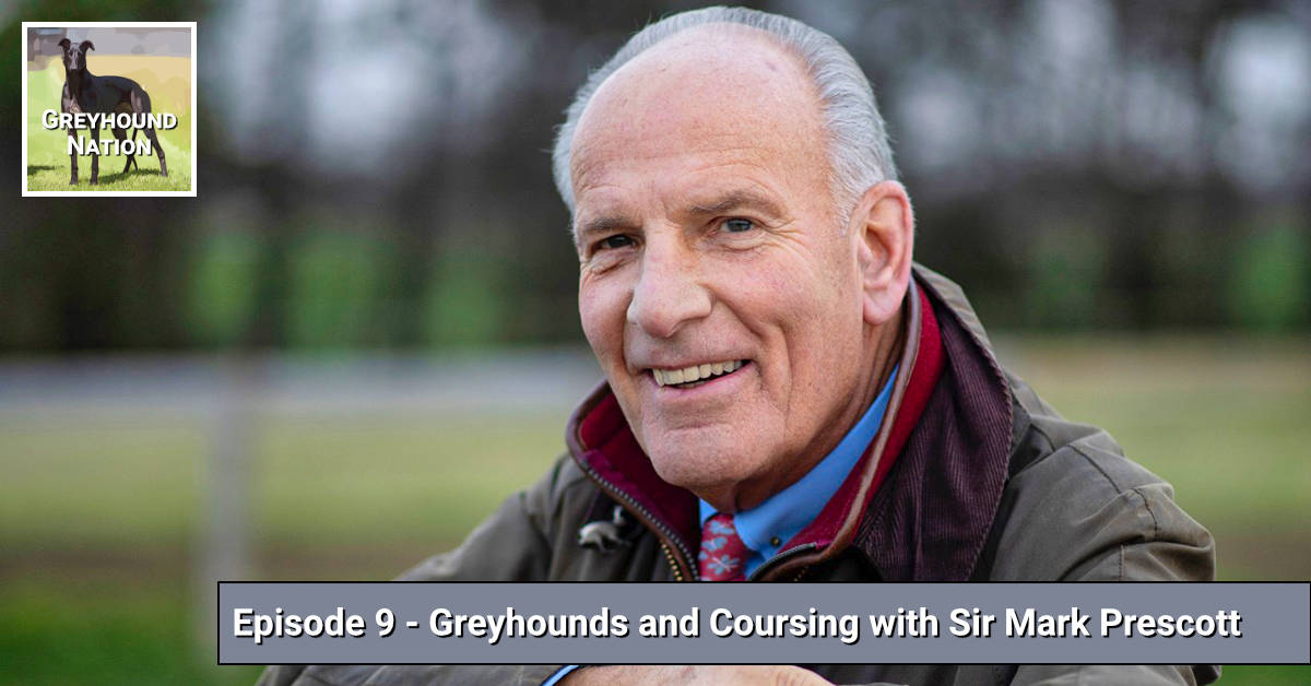 You are currently viewing Greyhounds and Coursing with Sir Mark Prescott