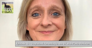 Read more about the article Greyhound Rehoming in the UK with Paula Beniston