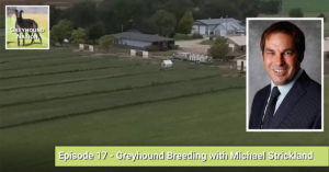 Read more about the article Greyhound Breeding with Michael Strickland