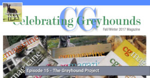 Read more about the article The Greyhound Project