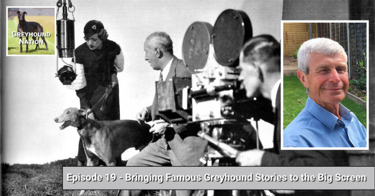 Bringing Famous Greyhound Stories to the Big Screen | Greyhound Nation