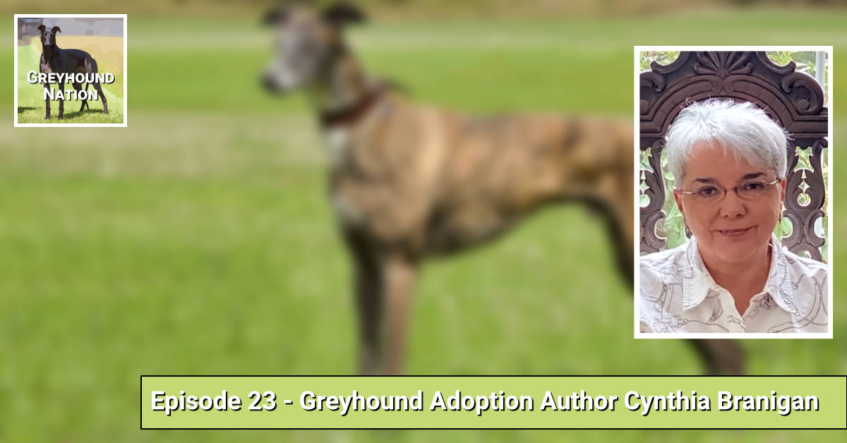 You are currently viewing Greyhound Adoption Author Cynthia Branigan