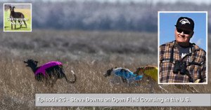 Read more about the article Steve Downs on Open Field Coursing in the U.S.