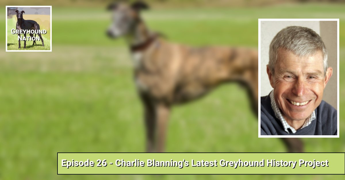 You are currently viewing Charlie Blanning’s Latest Greyhound History Project