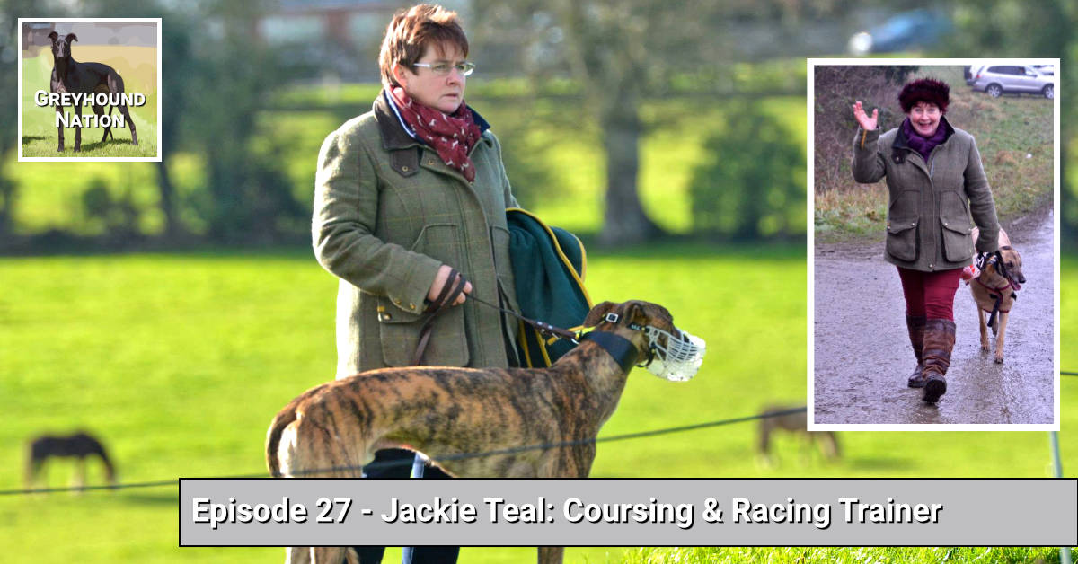 You are currently viewing Jackie Teal: Coursing & Racing Trainer