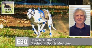Read more about the article Dr. Rob Gillette on Greyhound Sports Medicine