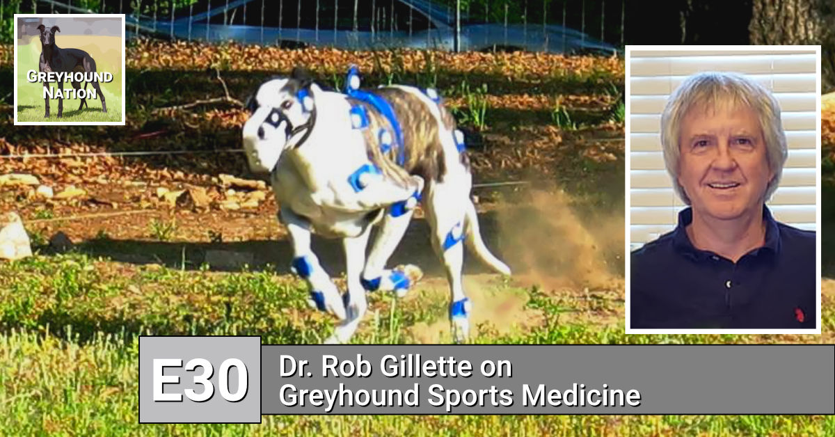 You are currently viewing Dr. Rob Gillette on Greyhound Sports Medicine