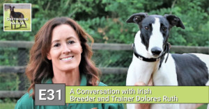 Read more about the article A Conversation with Irish Breeder and Trainer Dolores Ruth