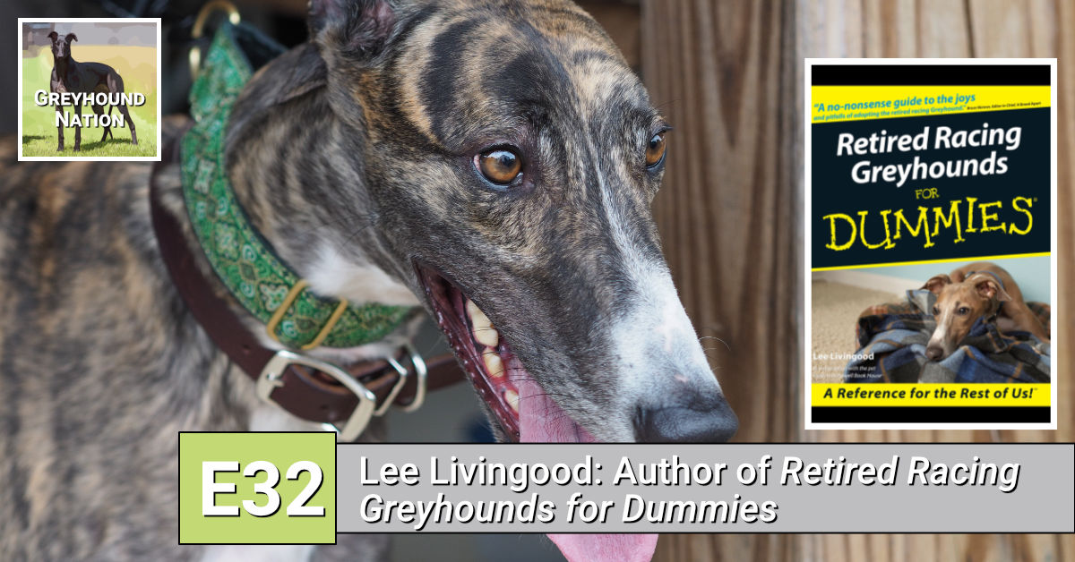 You are currently viewing Lee Livingood: Author of ‘Retired Racing Greyhounds for Dummies’
