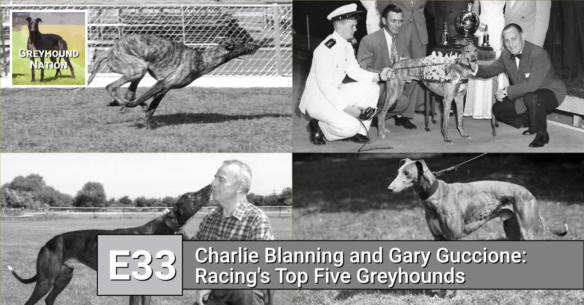 You are currently viewing Charlie Blanning and Gary Guccione: Racing’s Top Five Greyhounds