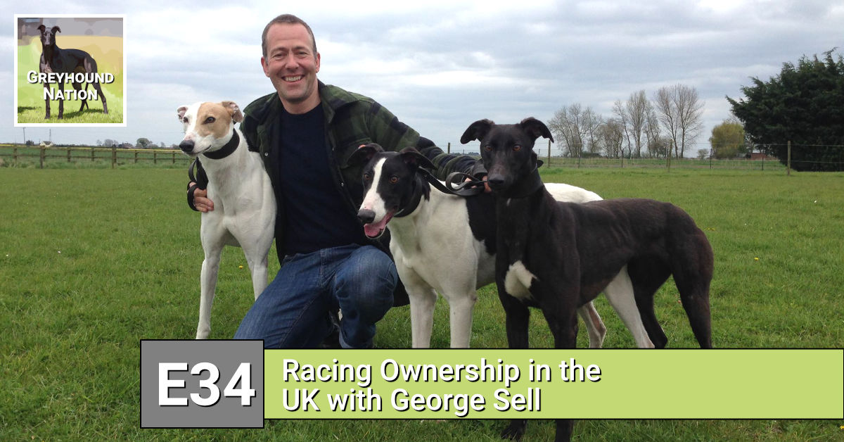 You are currently viewing Racing Ownership in the UK with George Sell