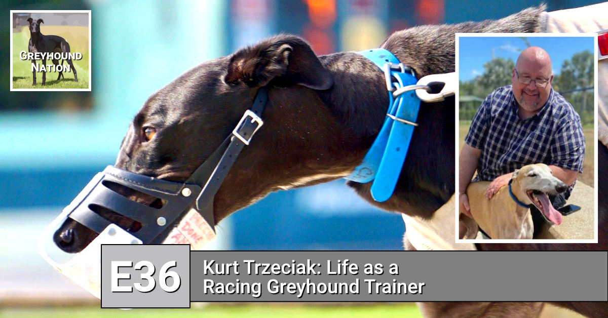 You are currently viewing Kurt Trzeciak: Life as a Racing Greyhound Trainer