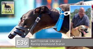 Read more about the article Kurt Trzeciak: Life as a Racing Greyhound Trainer