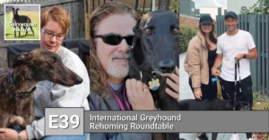 Read more about the article International Greyhound Rehoming Roundtable