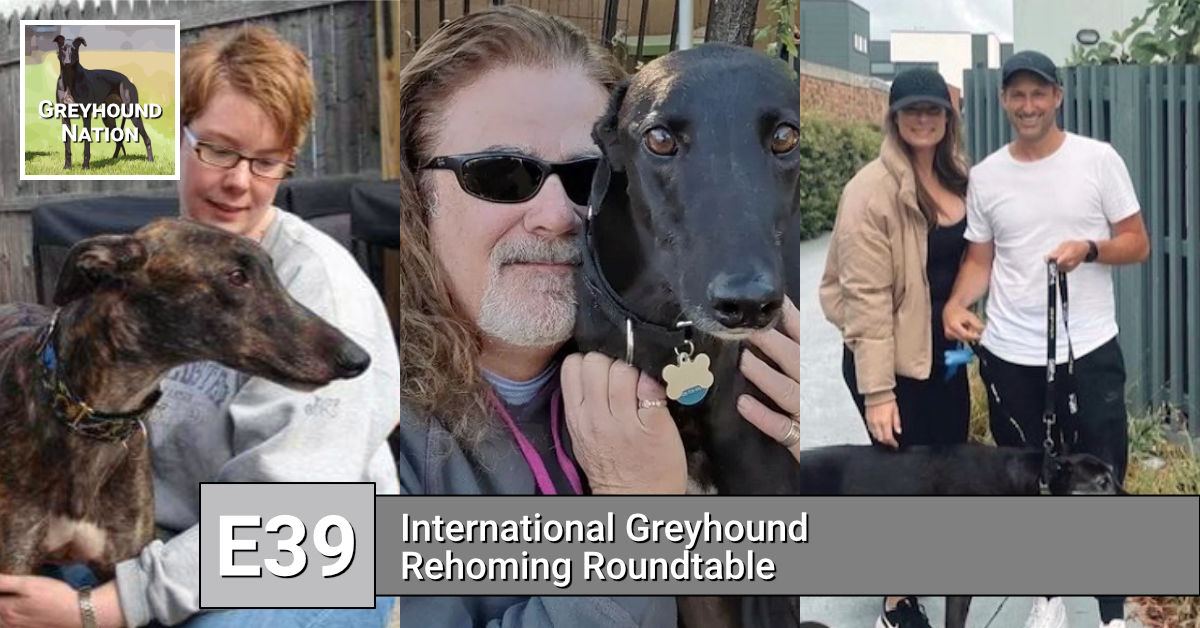 You are currently viewing International Greyhound Rehoming Roundtable
