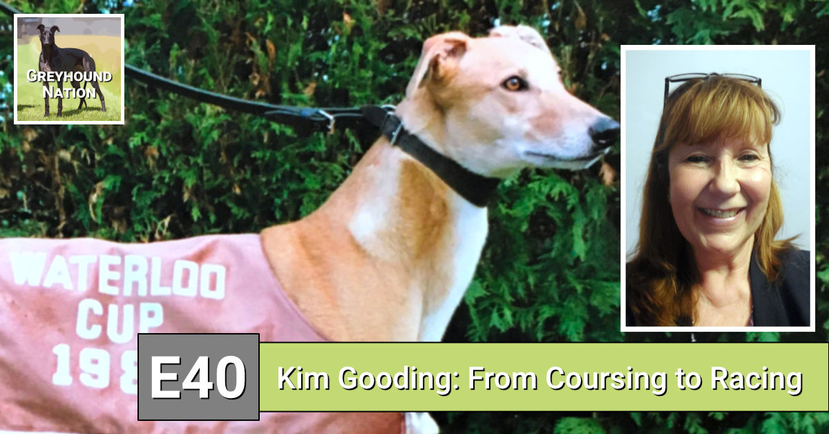 You are currently viewing Kim Gooding: From Coursing to Racing