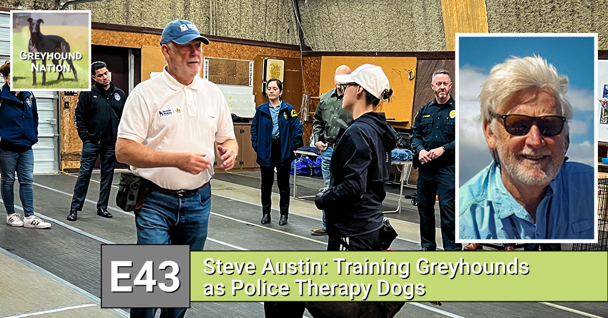 You are currently viewing Steve Austin: Training Greyhounds as Police Therapy Dogs