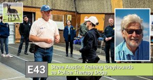 Read more about the article Steve Austin: Training Greyhounds as Police Therapy Dogs