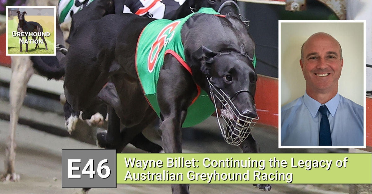 You are currently viewing Wayne Billett: Continuing a Legacy of Australian Greyhound Racing