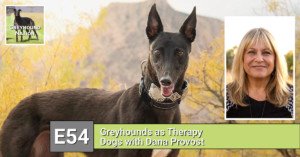 Read more about the article Greyhounds as Therapy Dogs with Dana Provost