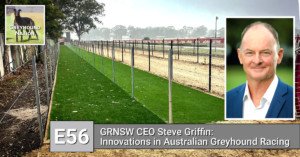 Read more about the article GRNSW CEO Steve Griffin: Innovation in Australian Greyhound Racing