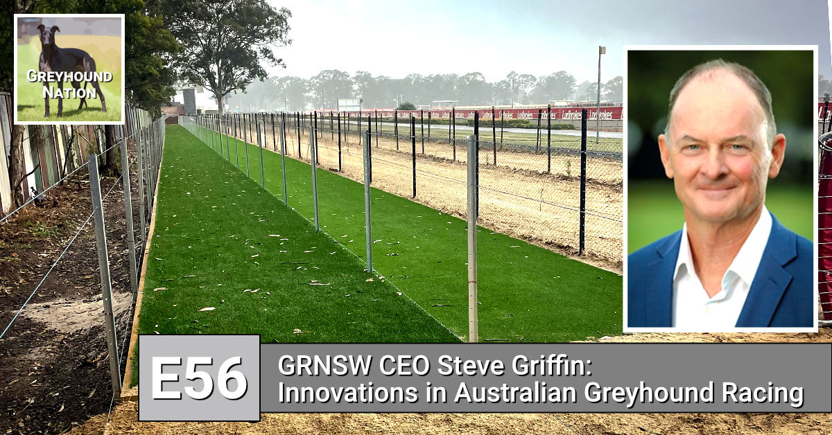 You are currently viewing GRNSW CEO Steve Griffin: Innovation in Australian Greyhound Racing